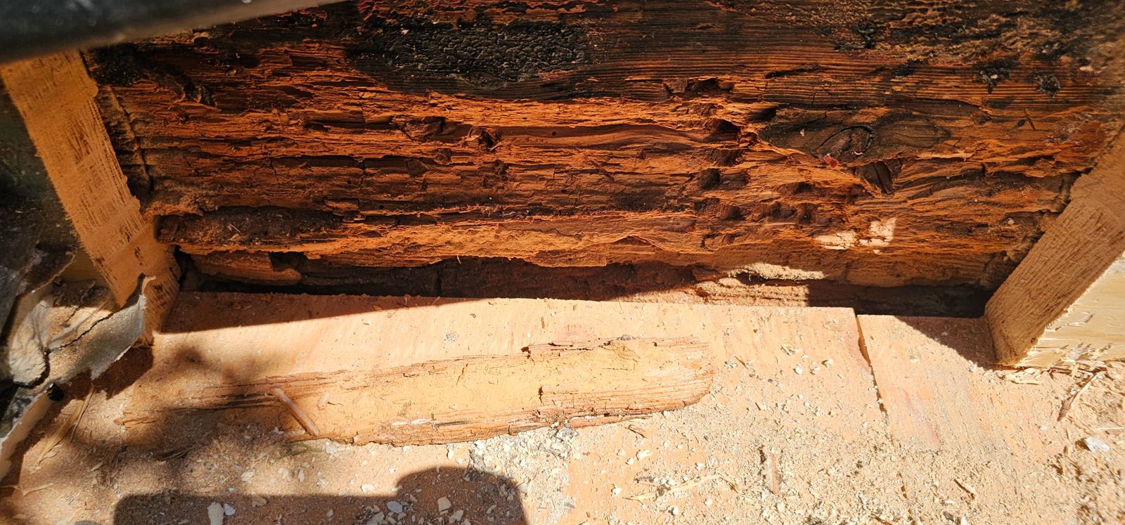 Severely dry-rotted structural beam exposed during repair at a Portland multi-unit building — K&H Construction